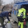 Услуги арбориста 0